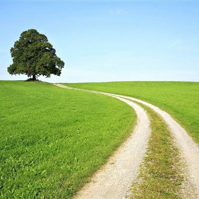 宝威体育手机app下载