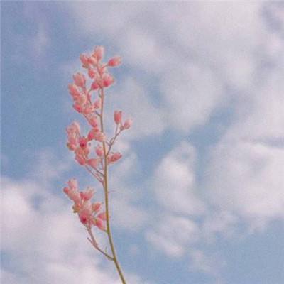 Kaiyun(云开)体育App(官方)手机app下载