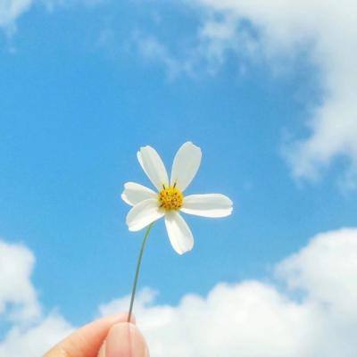 乐鱼手机app下载