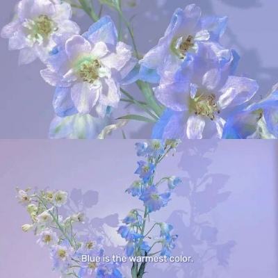 乐鱼官网下载手机版截图