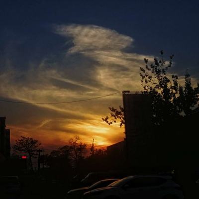 九州官网十年信誉玩家首选手机app下载