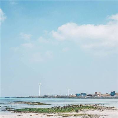 澳门4949资料免费大全手机app下载