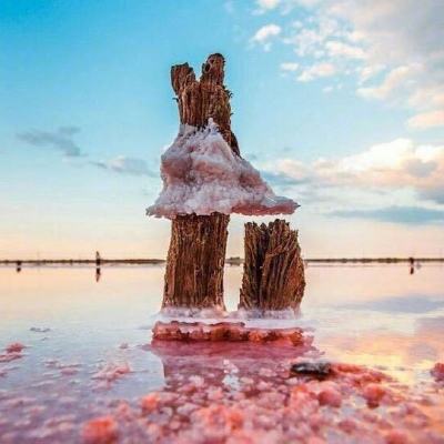 万博max官方入口