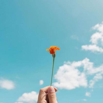 百人牛牛游戏下载手机版