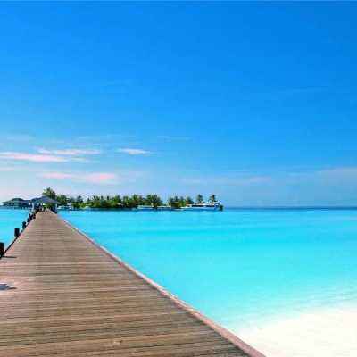 bob体育下载地址