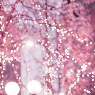 金年会娱乐app官方网站